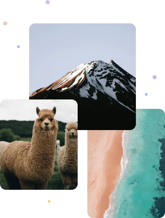 Three photos that are partially overlapping respectively of a couple of alpacas, a mountain, and an aerial overhead view of a beach and ocean